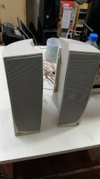https://img.olx.com.br/thumbs256x256/43/432530398140465.jpg