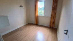 https://img.olx.com.br/thumbs256x256/43/432540520433890.jpg
