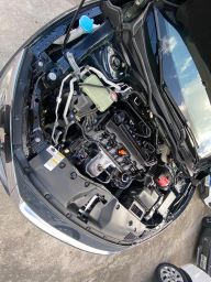 https://img.olx.com.br/thumbs256x256/43/432543285383317.jpg