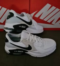 https://img.olx.com.br/thumbs256x256/43/432544644556645.jpg