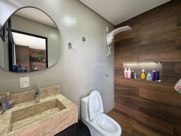 https://img.olx.com.br/thumbs256x256/43/432570521357017.jpg