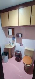 https://img.olx.com.br/thumbs256x256/43/433410305512181.jpg