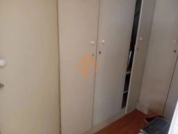 https://img.olx.com.br/thumbs256x256/43/433553887127466.jpg