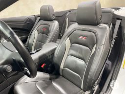 https://img.olx.com.br/thumbs256x256/43/433588632540643.jpg