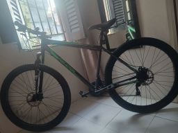 https://img.olx.com.br/thumbs256x256/43/434597640500533.jpg