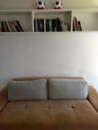 https://img.olx.com.br/thumbs256x256/43/435533632592468.jpg