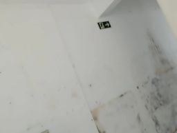 https://img.olx.com.br/thumbs256x256/43/435636538560624.jpg