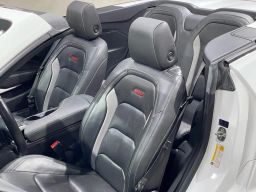 https://img.olx.com.br/thumbs256x256/43/436510397761709.jpg