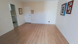 https://img.olx.com.br/thumbs256x256/43/436586169067721.jpg