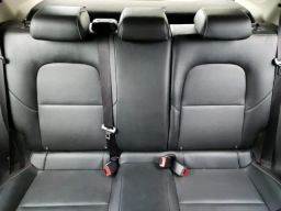 https://img.olx.com.br/thumbs256x256/43/436593166036066.jpg