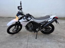 https://img.olx.com.br/thumbs256x256/43/436677198955345.jpg