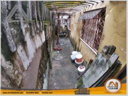 https://img.olx.com.br/thumbs256x256/43/437526525822441.jpg
