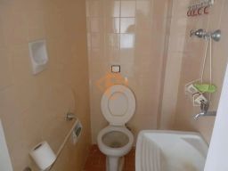 https://img.olx.com.br/thumbs256x256/43/437527169117783.jpg