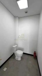 https://img.olx.com.br/thumbs256x256/43/437598645163614.jpg