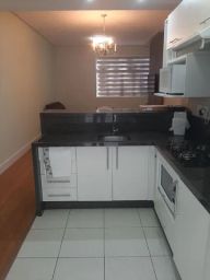 https://img.olx.com.br/thumbs256x256/43/438450774391351.jpg