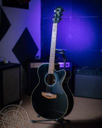 https://img.olx.com.br/thumbs256x256/43/438452594447479.jpg