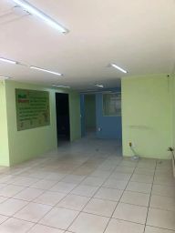 https://img.olx.com.br/thumbs256x256/43/438537392073432.jpg