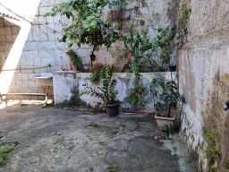 https://img.olx.com.br/thumbs256x256/43/438569755242165.jpg