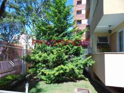 https://img.olx.com.br/thumbs256x256/43/438593169076034.jpg