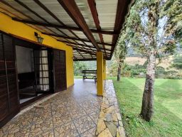 https://img.olx.com.br/thumbs256x256/43/438627552546127.jpg
