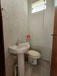 https://img.olx.com.br/thumbs256x256/43/439508768332663.jpg