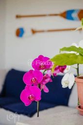 https://img.olx.com.br/thumbs256x256/43/439594284704770.jpg