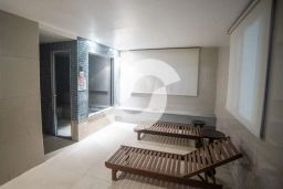 https://img.olx.com.br/thumbs256x256/44/440509401770628.jpg