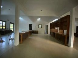https://img.olx.com.br/thumbs256x256/44/440518529797117.jpg