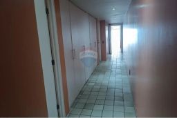 https://img.olx.com.br/thumbs256x256/44/440525387654436.jpg