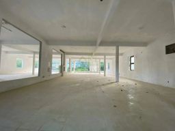 https://img.olx.com.br/thumbs256x256/44/440590166629463.jpg