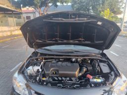 https://img.olx.com.br/thumbs256x256/44/440651805698592.jpg