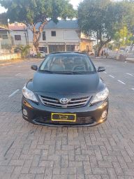 https://img.olx.com.br/thumbs256x256/44/440685564206056.jpg