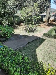 https://img.olx.com.br/thumbs256x256/44/441462196807878.jpg