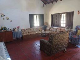 https://img.olx.com.br/thumbs256x256/44/441511642076325.jpg
