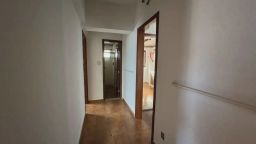 https://img.olx.com.br/thumbs256x256/44/441572523243883.jpg