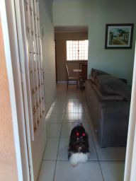 https://img.olx.com.br/thumbs256x256/44/441587168657915.jpg