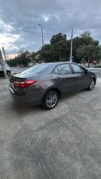 https://img.olx.com.br/thumbs256x256/44/441634663510825.jpg