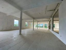 https://img.olx.com.br/thumbs256x256/44/442532164598634.jpg