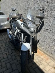 https://img.olx.com.br/thumbs256x256/44/442542861782095.jpg