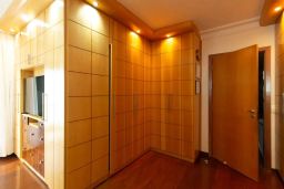 https://img.olx.com.br/thumbs256x256/44/442545405162581.jpg