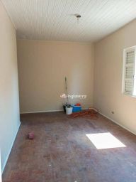 https://img.olx.com.br/thumbs256x256/44/442584766045542.jpg