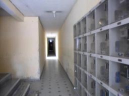 https://img.olx.com.br/thumbs256x256/44/443505260451785.jpg