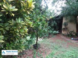 https://img.olx.com.br/thumbs256x256/44/443509637383916.jpg