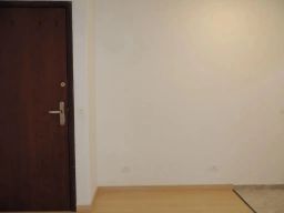 https://img.olx.com.br/thumbs256x256/44/443515761723246.jpg