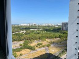https://img.olx.com.br/thumbs256x256/44/443520409272573.jpg