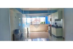 https://img.olx.com.br/thumbs256x256/44/443549643354528.jpg