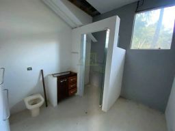 https://img.olx.com.br/thumbs256x256/44/443576286854781.jpg