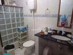 https://img.olx.com.br/thumbs256x256/44/443597287918031.jpg