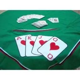 https://img.olx.com.br/thumbs256x256/44/444461573267820.jpg