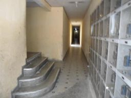 https://img.olx.com.br/thumbs256x256/44/444536625002826.jpg